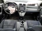 Lot #3006049763 2011 HONDA CR-V EX