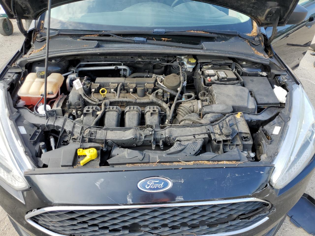 1FADP3E22GL223972 FORD FOCUS 2016