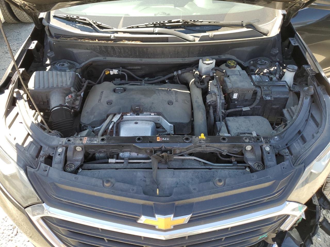 2GNAXVEX7K6202998 2019 Chevrolet Equinox Lt