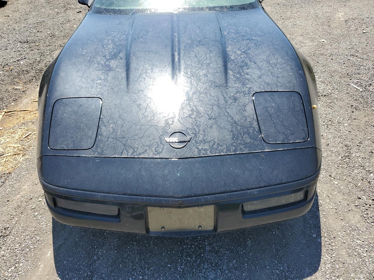 1G1YY22P5T5100550 1996 Chevrolet Corvette