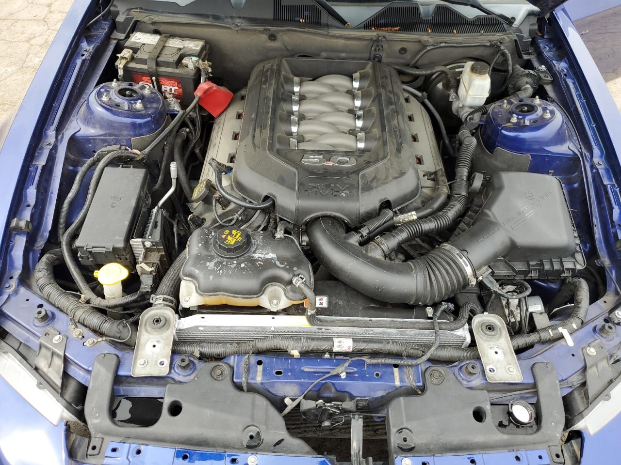 1ZVBP8CF8D5248893 2013 Ford Mustang Gt