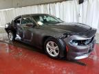 Lot #2761688500 2022 DODGE CHARGER SX