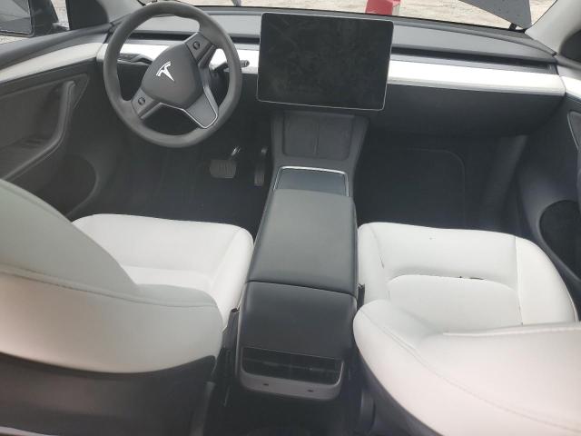 2023 TESLA MODEL Y - 7SAYGDEE9PF895657