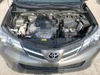 TOYOTA RAV4 XLE photo