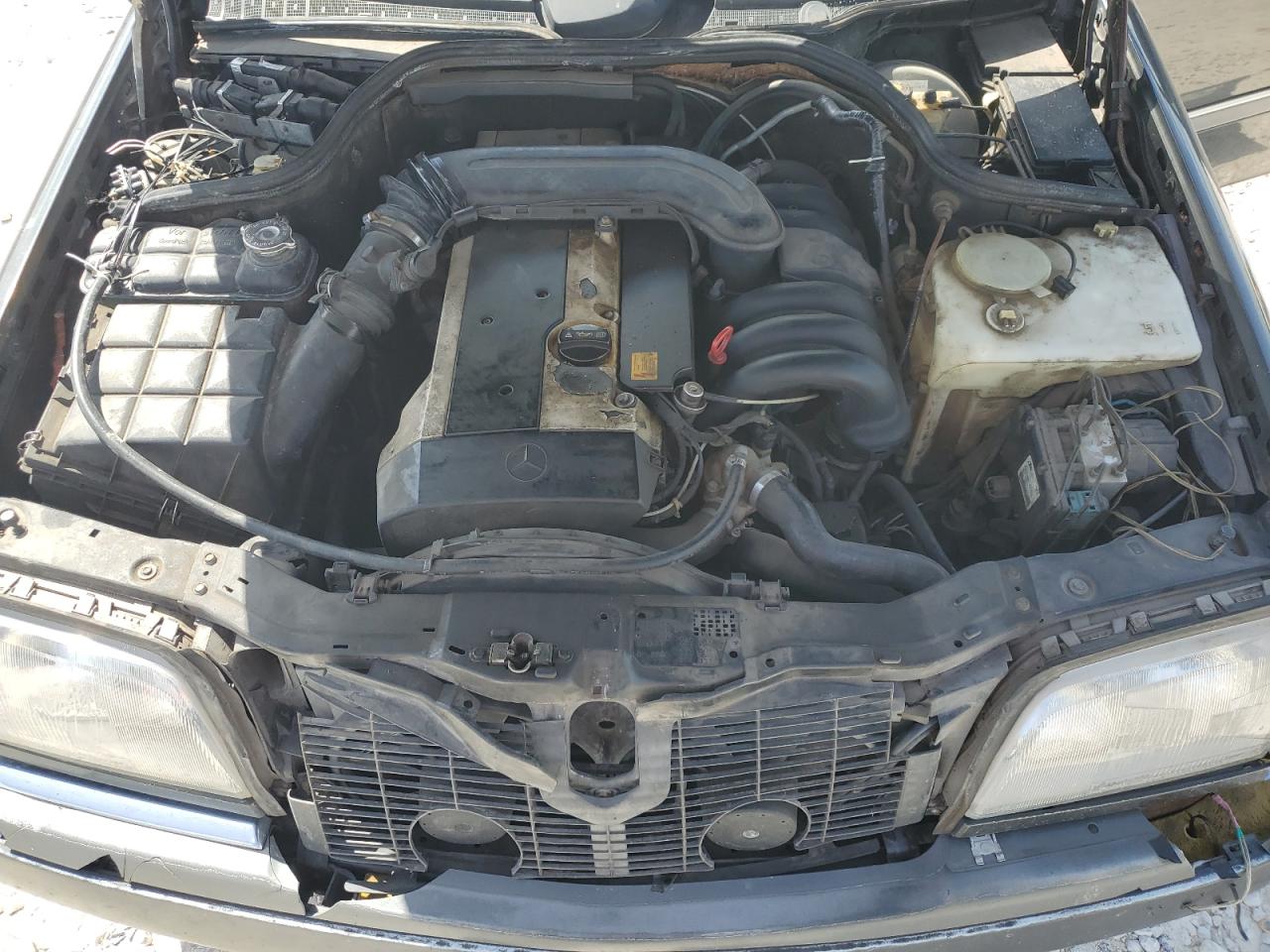 WDBHA28E6TF315087 1996 Mercedes-Benz C 280