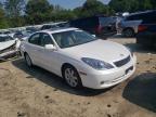 LEXUS ES 330 photo