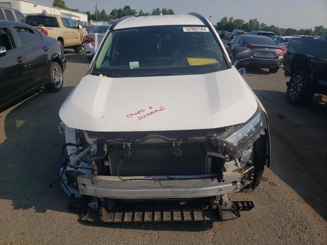 VIN 2T3F1RFV5KC058569 2019 Toyota RAV4, LE no.5