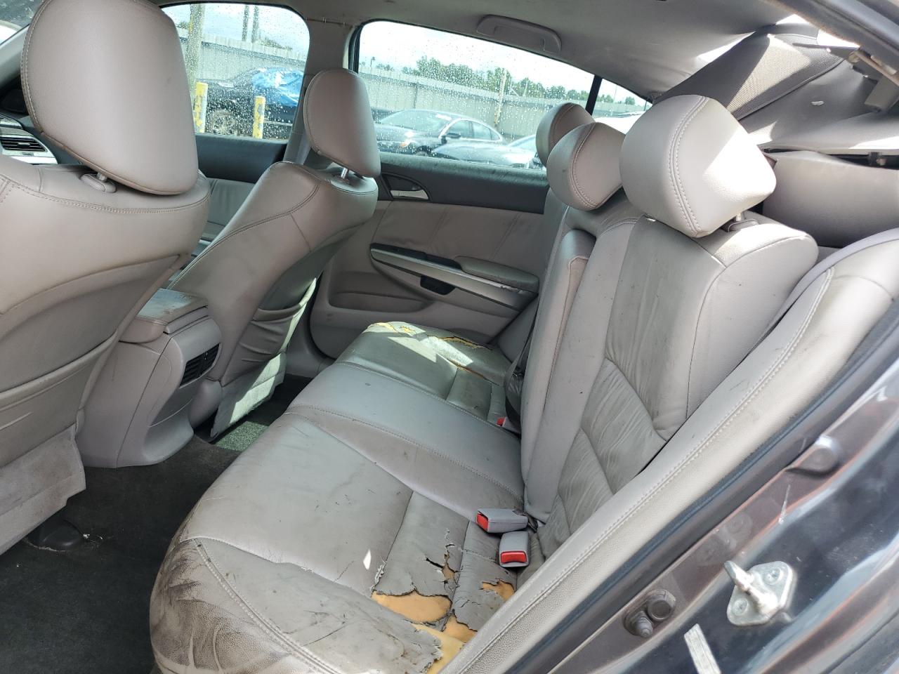 1HGCP2F89AA066240 2010 Honda Accord Exl