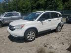 HONDA CR-V SE photo