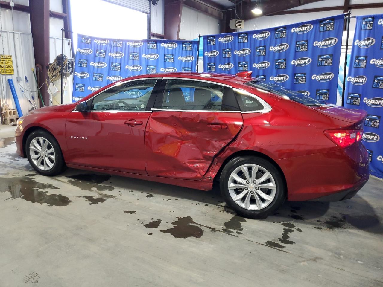 Lot #2692084530 2024 CHEVROLET MALIBU LT