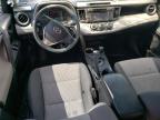 TOYOTA RAV4 LE photo