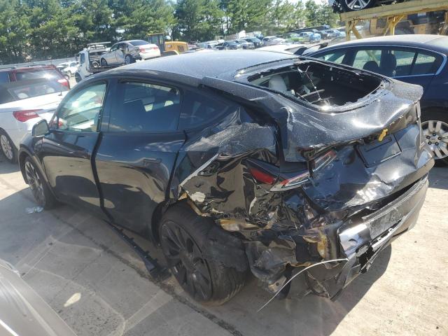 2024 TESLA MODEL Y - 7SAYGDEF5RF022452