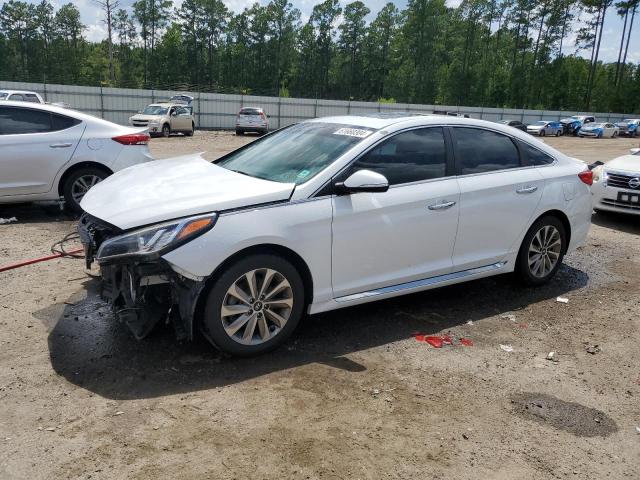 2016 HYUNDAI SONATA SPO - 5NPE34AF5GH394440