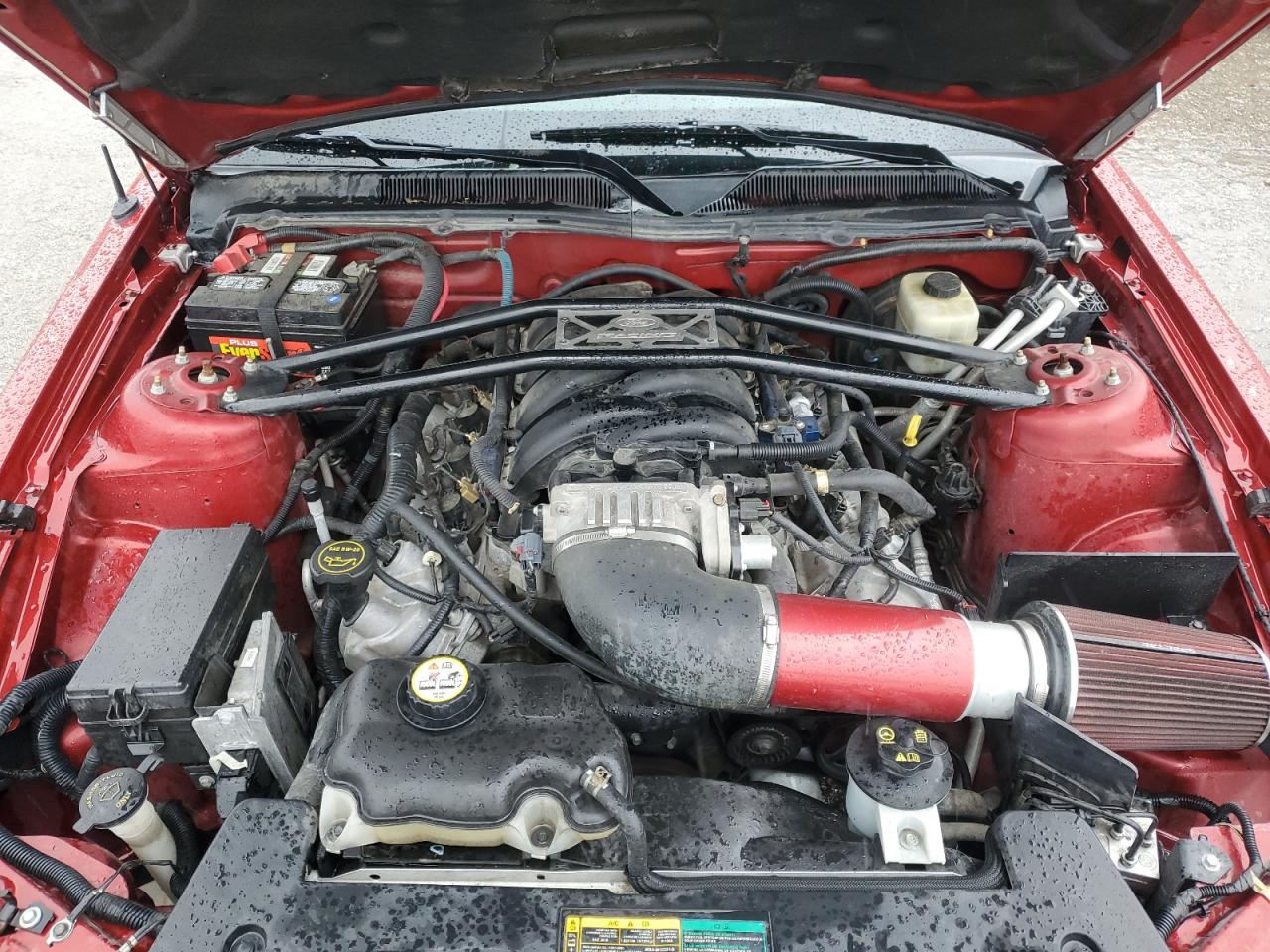 1ZVHT82H885125402 2008 Ford Mustang Gt