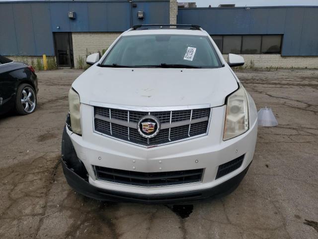 2010 Cadillac Srx Luxury Collection VIN: 3GYFNAEY1AS640478 Lot: 62123924