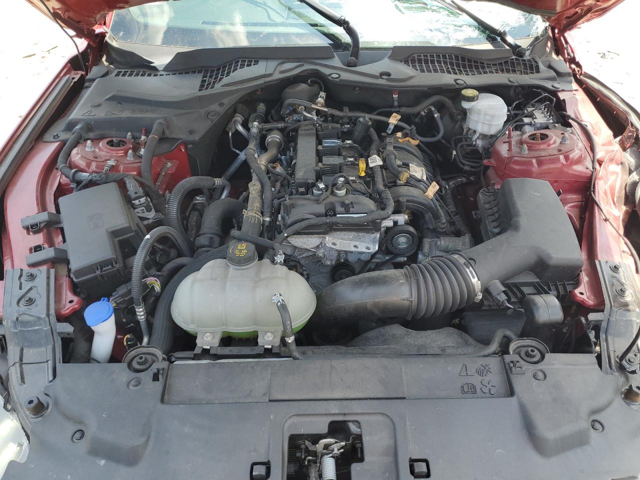 1FA6P8TH6M5123192 2021 Ford Mustang