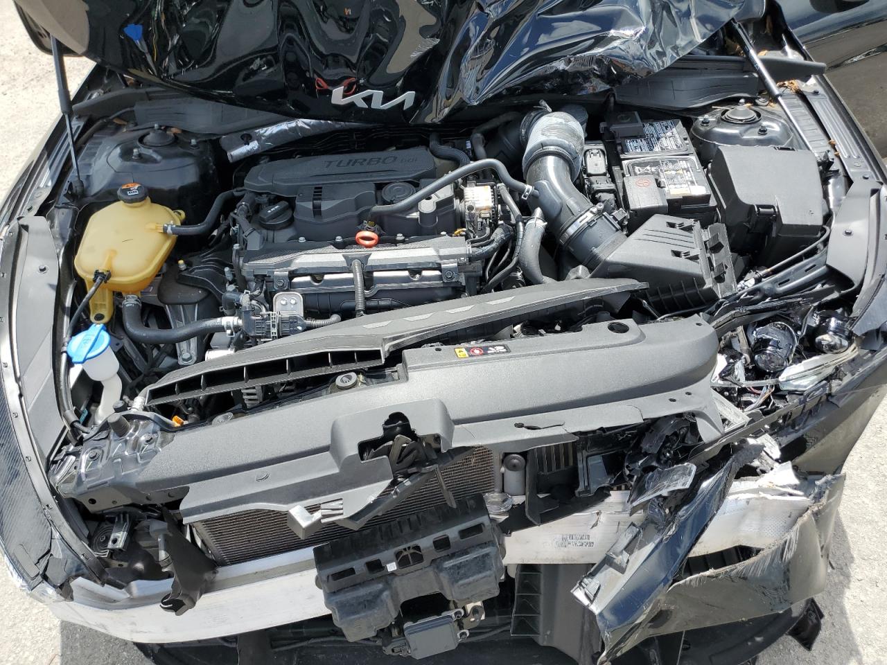 5XXG64J2XRG228054 2024 Kia K5 Gt Line