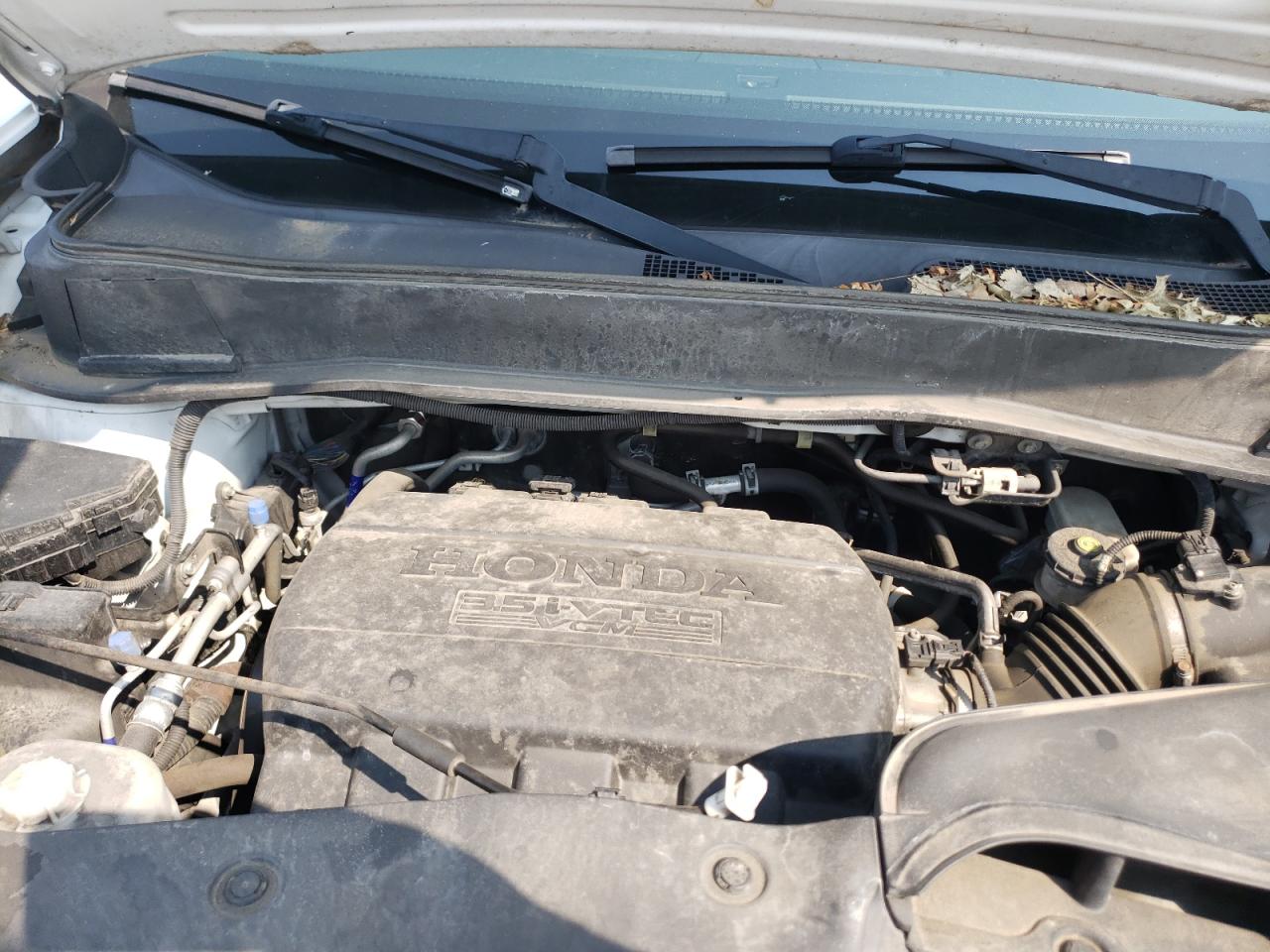 5FNYF3H70EB006569 2014 Honda Pilot Exln