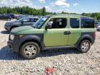 HONDA ELEMENT LX photo