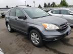 HONDA CR-V SE photo