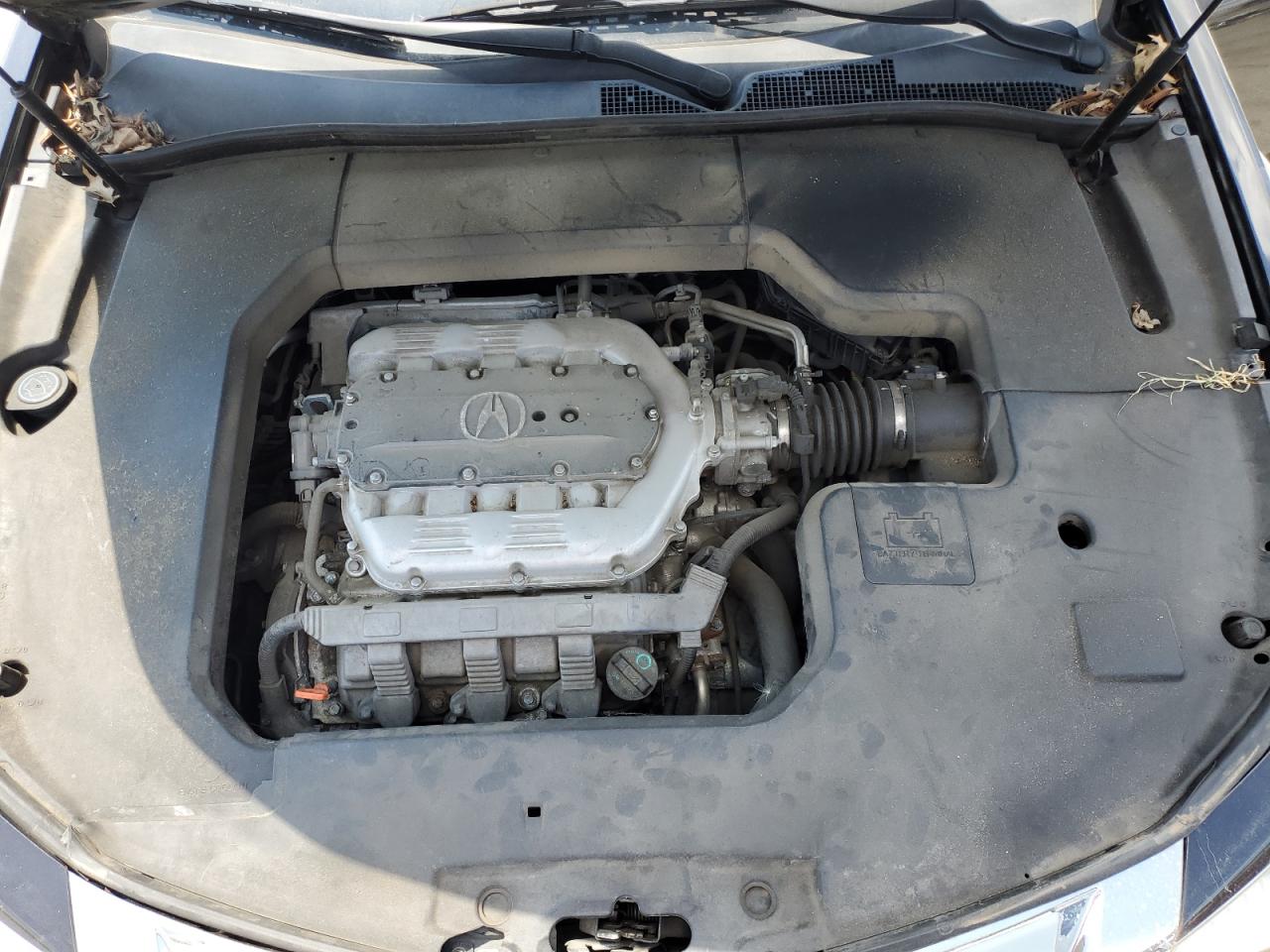 19UUA8F52BA003173 2011 Acura Tl