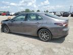 TOYOTA CAMRY XLE photo