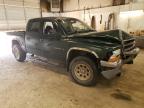 DODGE DAKOTA QUA photo