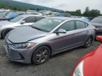 HYUNDAI ELANTRA SE photo