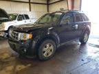 FORD ESCAPE XLT photo