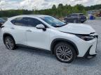 LEXUS NX 350 LUX photo