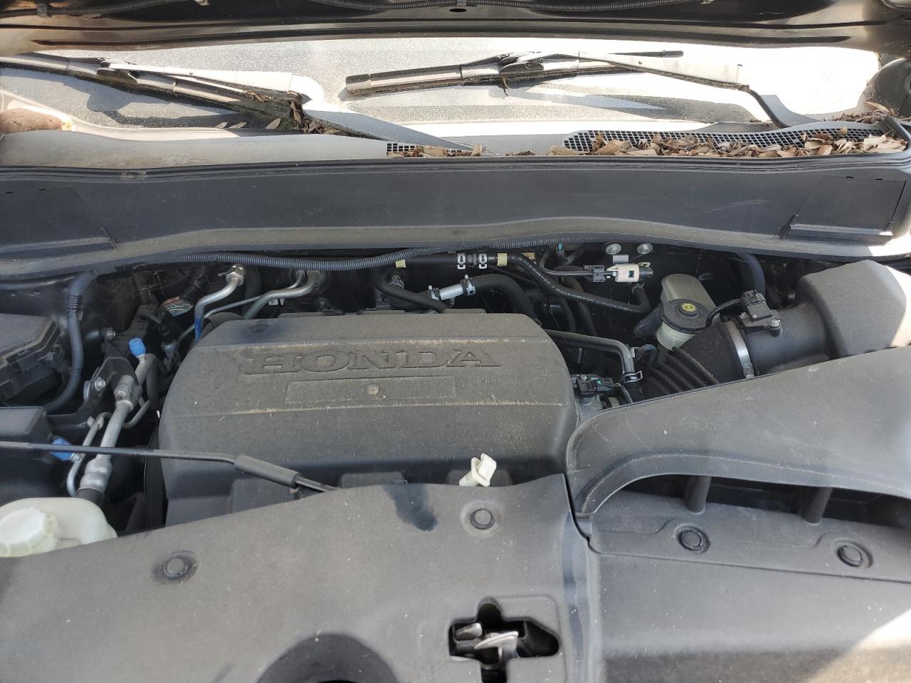 5FNYF48629B041102 2009 Honda Pilot Exl