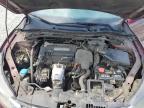 HONDA ACCORD EXL photo