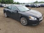 NISSAN MAXIMA S photo