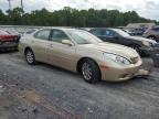 LEXUS ES 300 photo