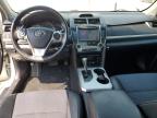 TOYOTA CAMRY L photo