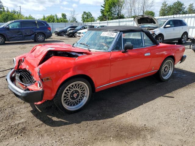 Vin: 124c50142625, lot: 63245354, fiat all models 1979 img_1