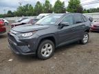 TOYOTA RAV4 XLE photo