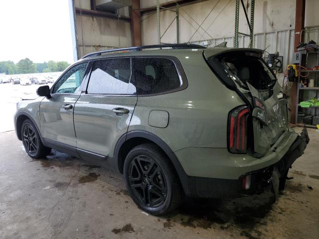 2024 KIA TELLURIDE 5XYP5DGC3RG433116  64436884