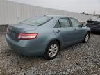 TOYOTA CAMRY BASE photo