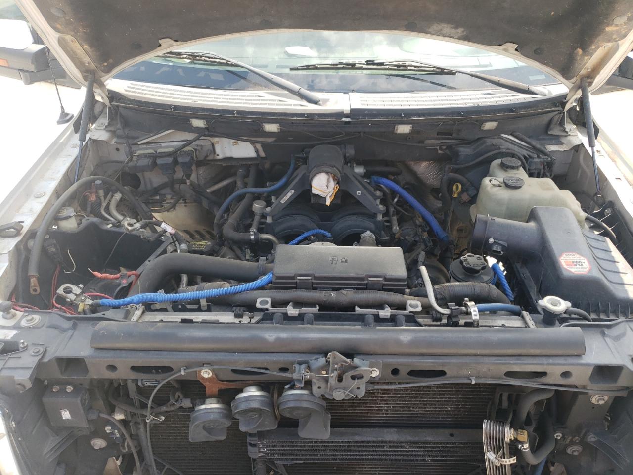 1FTFW1EV4AFB96994 2010 Ford F150 Supercrew