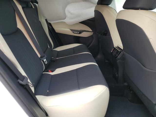 2024 LEXUS NX 250 BAS JTJADCAZXR2008340