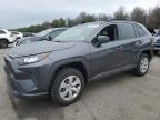 TOYOTA RAV4 LE photo