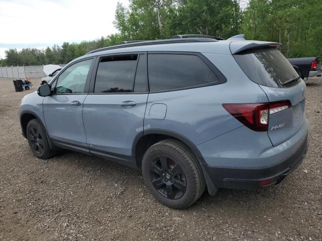 2022 HONDA PILOT TRAI 5FNYF6H8XNB501730