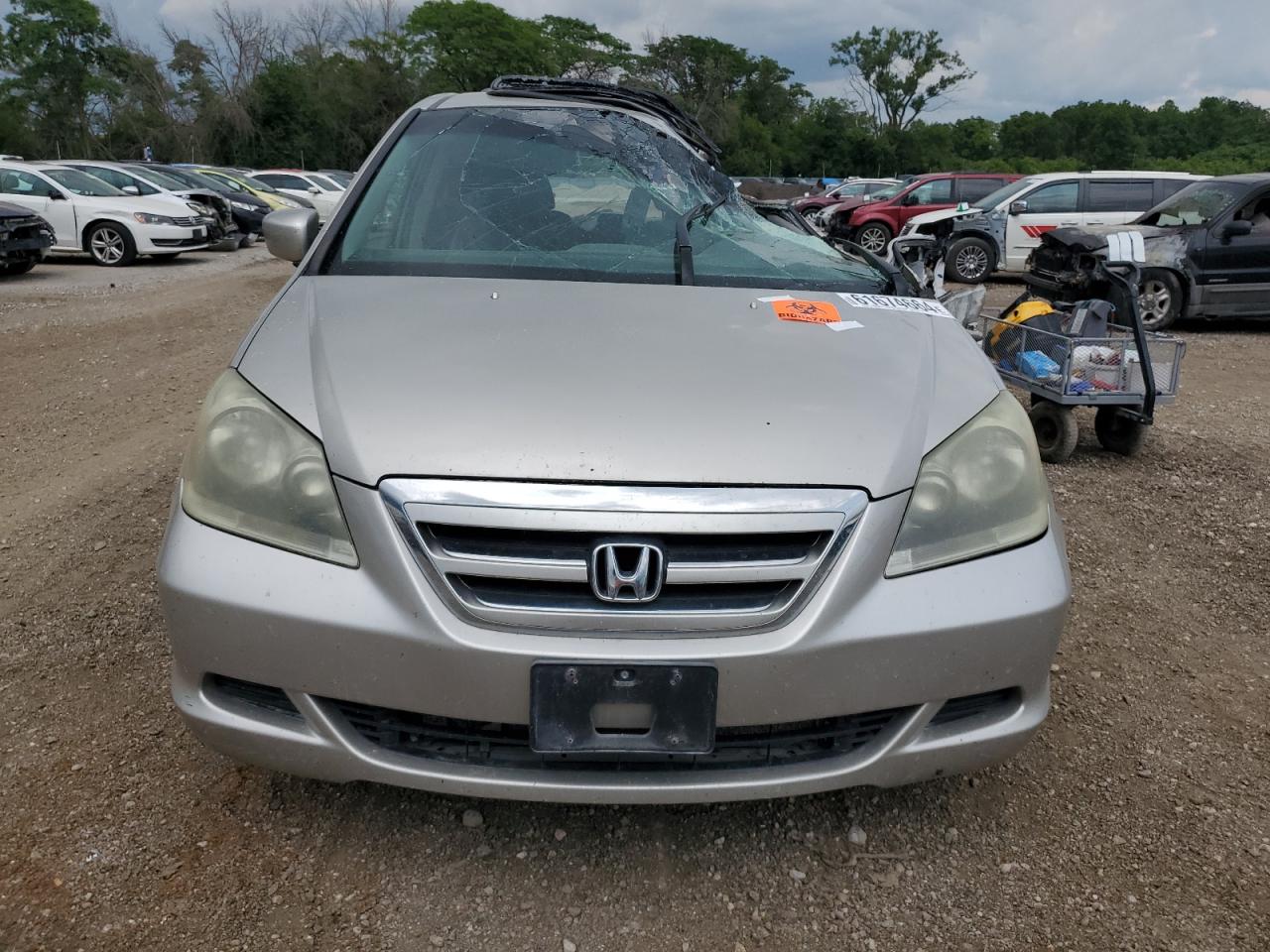 Lot #2904468496 2005 HONDA ODYSSEY EX