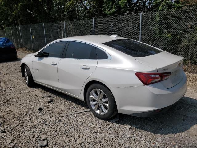 2019 CHEVROLET MALIBU LT - 1G1ZD5ST9KF149127