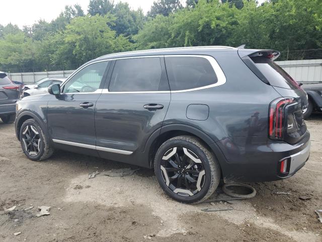 2024 Kia Telluride Ex VIN: 5XYP3DGC8RG507281 Lot: 62693134