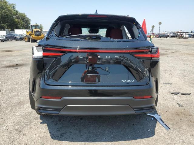 2024 LEXUS NX 250 BAS 2T2ADCAZXRC014722