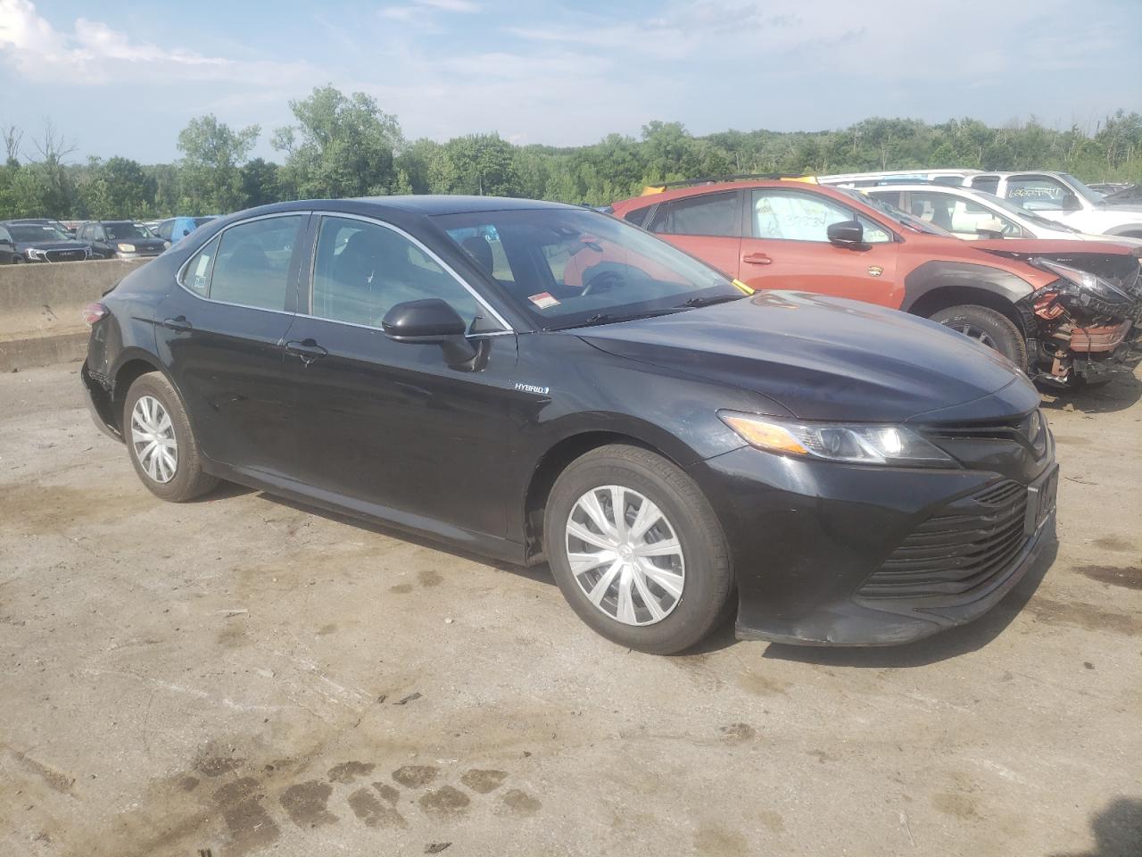 2019 Toyota Camry Le vin: 4T1B31HK4KU006256