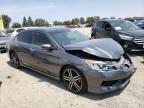 HONDA ACCORD SPO photo