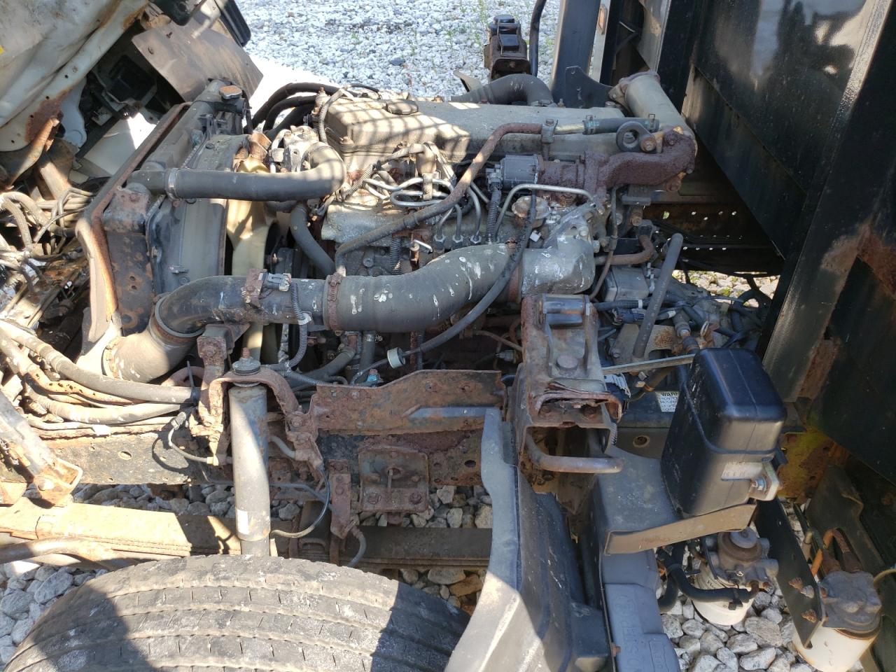 JALE5B16X77900281 2007 Isuzu Nqr